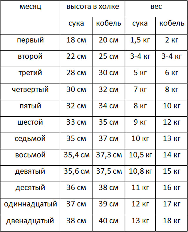 таблица роста и веса щенка эстонских гончих